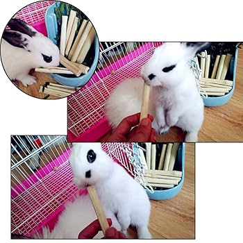 Amazon.co.jp: 天然のさとうきび ハムスター うさぎ リス